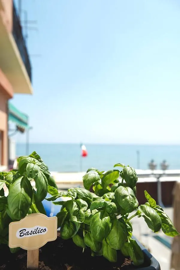 Alassio Vayadu' Arabesque Italy