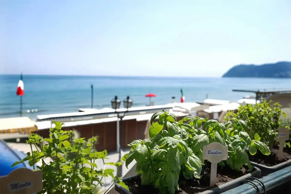 Alassio Vayadu' Arabesque Guest house